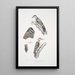 Pic épeichette Picus Macei 1 Männchen 2 Weibchen 2a Flügel 2b Schwanz - John Edward Gray — gerahmtes Bild an der Wand