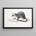 Paradoxe de Pallas, Paradoxurus Pallasii, Indien - John Edward Gray — gerahmtes Bild an der Wand