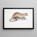 Paradoxure prähensile Paradoxurus prehensilis - John Edward Gray — gerahmtes Bild an der Wand