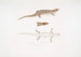 Tiliqua à trois bandes Tiliqua trivittata - John Edward Gray — Ansicht des Kunstwerks