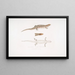 Tiliqua à trois bandes Tiliqua trivittata - John Edward Gray — gerahmtes Bild an der Wand
