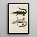 Alligator des Mississippi - John Edwards Holbrook — gerahmtes Bild an der Wand