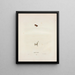 Hylodes ocularis - John Edwards Holbrook — gerahmtes Bild an der Wand