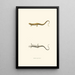 Salamander in Mittellinie - John Edwards Holbrook — gerahmtes Bild an der Wand