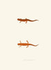 Salamander symmetrisch - John Edwards Holbrook — Ansicht des Kunstwerks