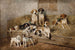 Hunde und Terrier in einer Scheune - John Emms — Ansicht des Kunstwerks