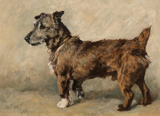 John Emms - Sandy.webp
