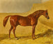 Actéon - John Frederick Herring l'Ancien — Ansicht des Kunstwerks