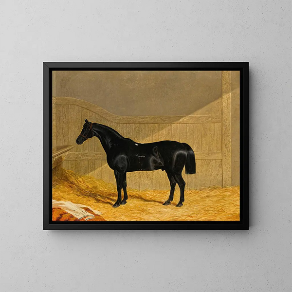 Schwarzes Pferd in einer Stallung - John Frederick Herring der Ältere — gerahmtes Bild an der Wand