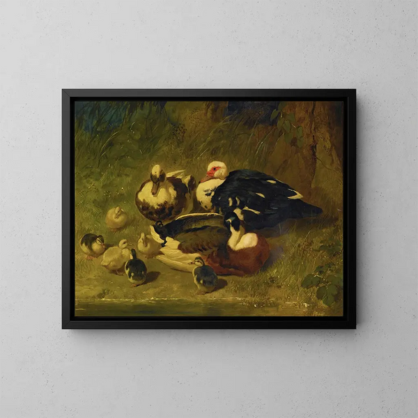 Enten aus Moskau und Entenküken - John Frederick Herring der Ältere — gerahmtes Bild an der Wand