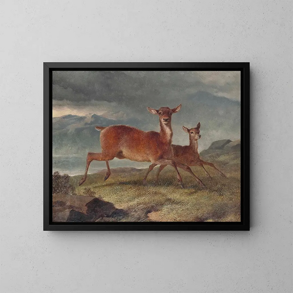 Hirsch rot und Rehkitz - John Frederick Herring der Ältere — gerahmtes Bild an der Wand