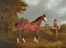 Das Rennpferd Whiteface mit dem Jockey J Gilham - John Frederick Herring l'Ancien — Ansicht des Kunstwerks