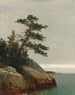 Der alte Kiefernbaum Darien Connecticut - John Frederick Kensett — Ansicht des Kunstwerks