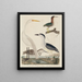 G: Héron vert, bihoreau, junger heron und großer weißer heron - John G. Warnicke — gerahmtes Bild an der Wand