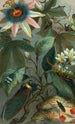 Cigales, Laterne usw. - John George Wood — Ansicht des Kunstwerks