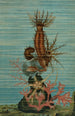 Holothurien und Seestern - John George Wood — Ansicht des Kunstwerks