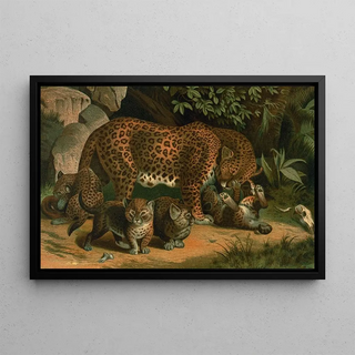 John George Wood - Leopard.webp