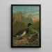 Stockente - John George Wood — gerahmtes Bild an der Wand
