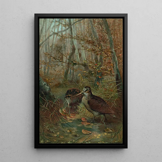 John George Wood - Woodcock.webp