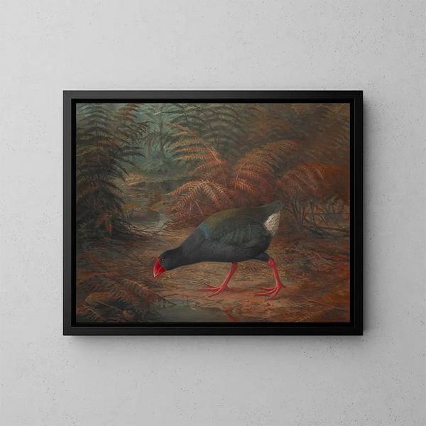 Ein Moho Takahe Notornis Mantelli - John Gerrard Keulemans — gerahmtes Bild an der Wand