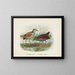 Ortygometra affinis und Ortygometra tabuensis - John Gerrard Keulemans — gerahmtes Bild an der Wand