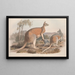 Eine Monographie der Macropodidae oder Familie der Kängurus Pl02 - John Gould — gerahmtes Bild an der Wand