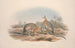 Eine Monographie der Macropodidae oder Familie der Kängurus Pl08 - John Gould — Ansicht des Kunstwerks
