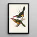 Eine Monographie der Ramphastidae oder Familie der Tukanvögel Pl22 - John Gould — gerahmtes Bild an der Wand
