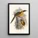 Eine Monographie der Ramphastidae oder Familie der Tukanvögel Pl28 - John Gould — gerahmtes Bild an der Wand