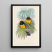 Eine Monographie der Trogonidae oder Familie der Trogons Pl06 - John Gould — gerahmtes Bild an der Wand