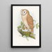 Klein-Eulenkunstdruck - John Gould — gerahmtes Bild an der Wand