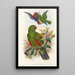 Die Vögel Neuguineas und der angrenzenden Papuas-Inseln Pl31 - John Gould — gerahmtes Bild an der Wand