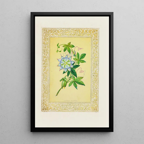 John Henry Ingram - Passion flower.webp