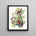 Epervier d'Amérique - John James Audubon — gerahmtes Bild an der Wand