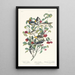 Paruline d'Audubon Paruline solitaire Paruline à gorge grise - John James Audubon — gerahmtes Bild an der Wand