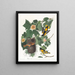 Oriole de Baltimore - John James Audubon — gerahmtes Bild an der Wand