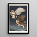 Effraie des clochers - John James Audubon — gerahmtes Bild an der Wand