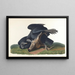 Vautour noir ou corbeau commun - John James Audubon — gerahmtes Bild an der Wand