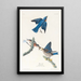 Merlebleu - John James Audubon — Ansicht des Kunstwerks