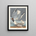 Goéland de Bonaparte - John James Audubon — gerahmtes Bild an der Wand