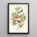 Paruline à tête brune mangeuse de vers - John James Audubon — gerahmtes Bild an der Wand