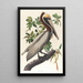 Pelikan braun Pelecanus fuscus - John James Audubon — gerahmtes Bild an der Wand
