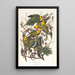 Papagei von Caroline - John James Audubon — gerahmtes Bild an der Wand