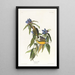 Paruline du Connecticut - John James Audubon — gerahmtes Bild an der Wand