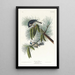 Mésange huppée - John James Audubon — gerahmtes Bild an der Wand