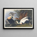 Eider à duvet - John James Audubon — gerahmtes Bild an der Wand