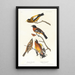 Großschnabel des Abends, Gefleckte Großschnabel - John James Audubon — gerahmtes Bild an der Wand