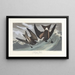 Pétrel à queue fourchue - John James Audubon — gerahmtes Bild an der Wand