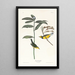 Paruline à capuchon - John James Audubon — gerahmtes Bild an der Wand