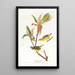 Kentucky-Kiebitz-Gemälde - John James Audubon — gerahmtes Bild an der Wand